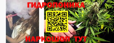 a pvp Шелехов