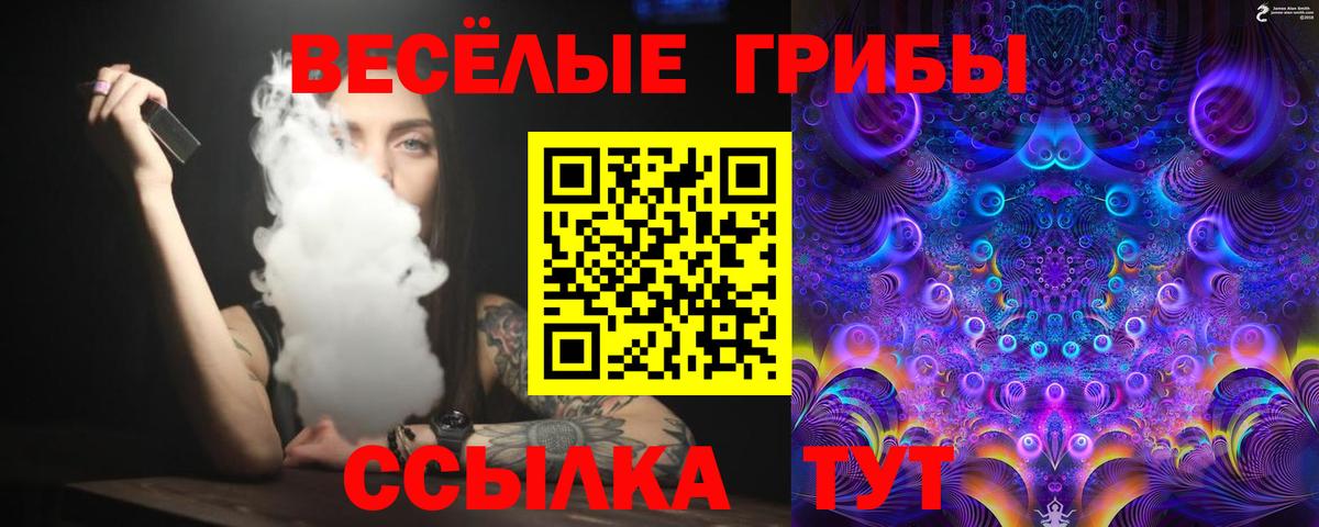 Псилоцибиновые грибы MAGIC MUSHROOMS Вязники