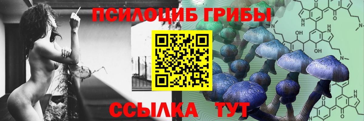 Вязники  Галлюциногенные грибы Psilocybine cubensis  наркошоп  Вход с VPN 
